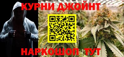 Альфа ПВП Бийск