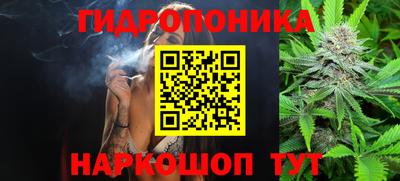 Альфа ПВП Бийск