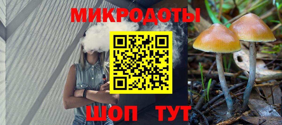 Кольчугино  Галлюциногенные грибы ЛСД  Вход с VPN 