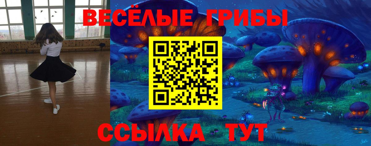 Галлюциногенные грибы GOLDEN TEACHER Кольчугино