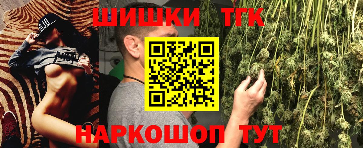Конопля сатива Кольчугино
